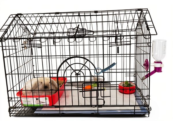 10 Pack Rabbit Cages Door Metal Finger Spring Latch Hook Multi-Functional Pet Cages Door Spring Latch for Fixing Small Animal, Rabbit, Dog, Cat, Parrot, Guinea Pig,Squirrel, Pet Cage Door-3