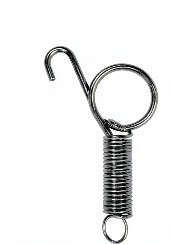 10 Pack Rabbit Cages Door Metal Finger Spring Latch Hook Multi-Functional Pet Cages Door Spring Latch for Fixing Small Animal, Rabbit, Dog, Cat, Parrot, Guinea Pig,Squirrel, Pet Cage Door-2