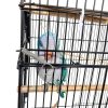 10 Pack Rabbit Cages Door Metal Finger Spring Latch Hook Multi-Functional Pet Cages Door Spring Latch for Fixing Small Animal, Rabbit, Dog, Cat, Parrot, Guinea Pig,Squirrel, Pet Cage Door-6